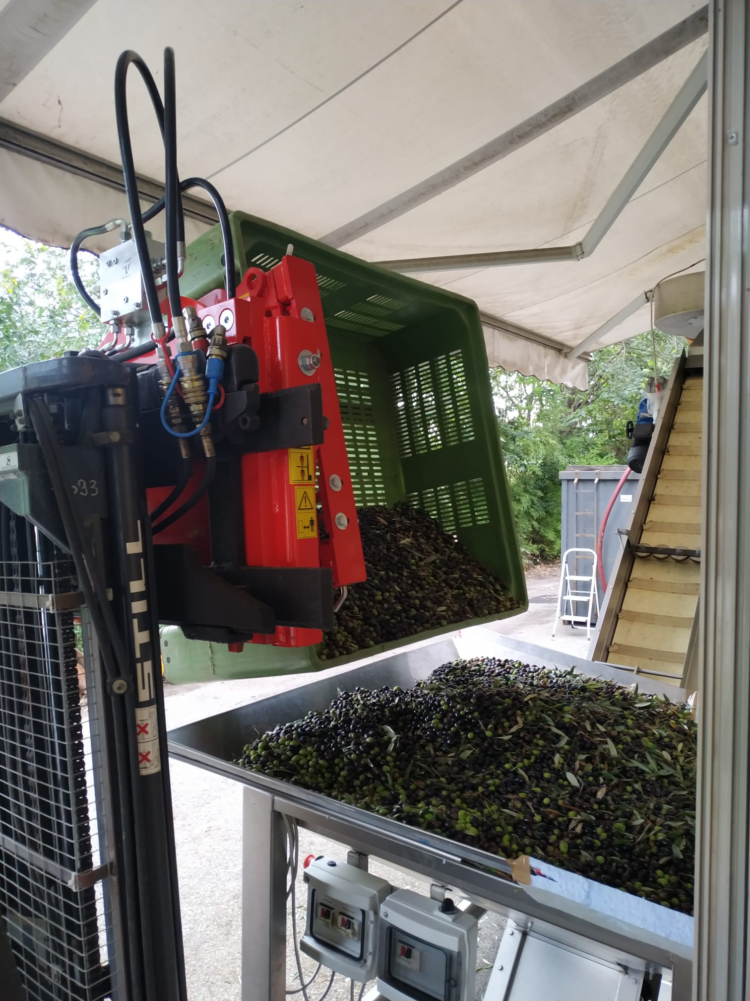 La raccolta delle olive con Rovesciatori idraulici di Tecnoagri